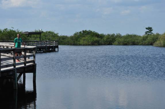 Visitando o Parque Nacional Everglades, no sul da Flórida, nos Estados Unidos